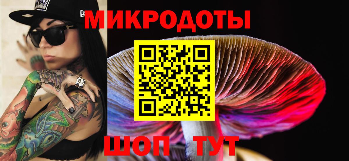 Лабытнанги  Псилоцибиновые грибы Cubensis  Вход с VPN 